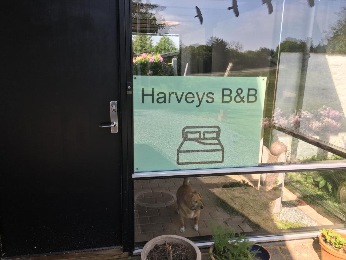 Harvey'S Bed & Breakfast Hjørring Extérieur photo